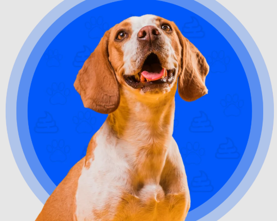 residential-pet-waste-removal