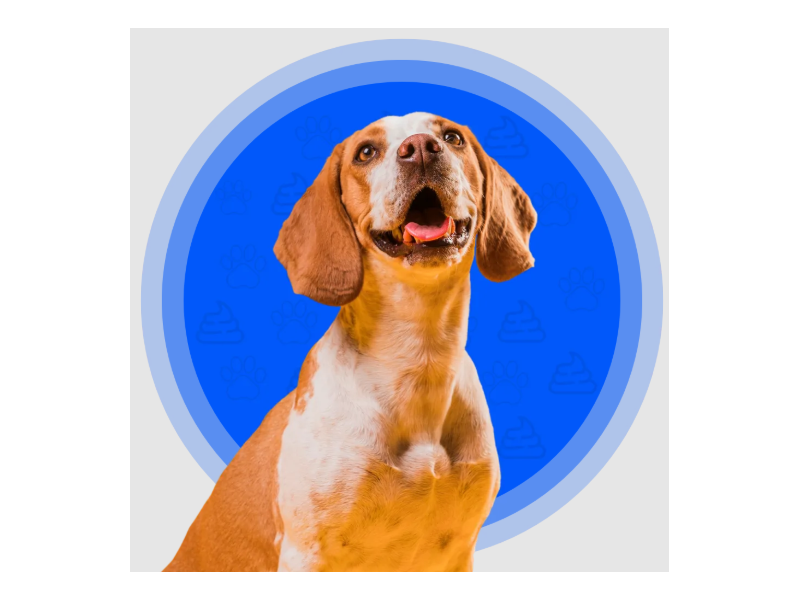 residential-pet-waste-removal-small-0