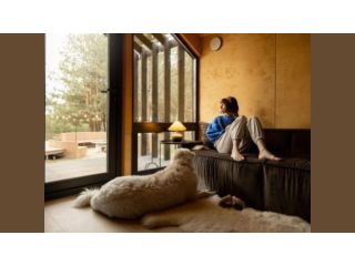 pet-friendly-vacation-rentals-in-manzanita-small-0