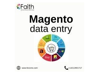 magento-product-data-entry-services-that-work-small-0