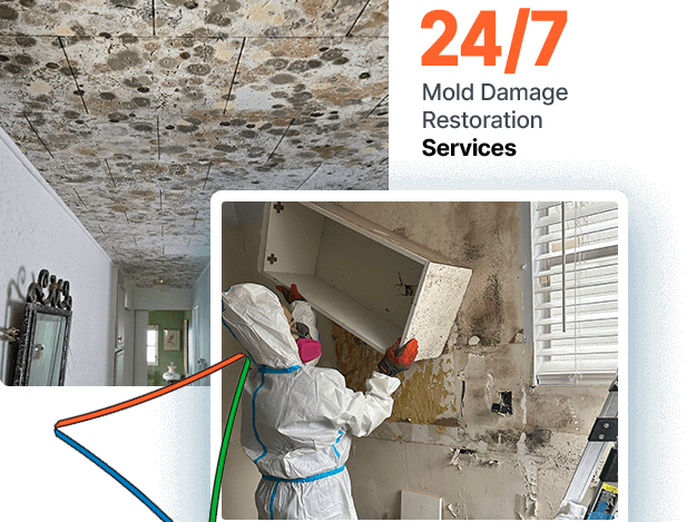 modern-designs-expert-contractors