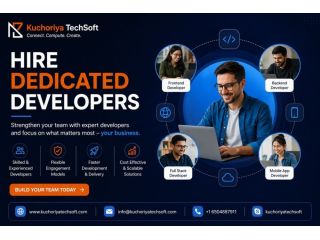 hire-dedicated-developers-for-custom-software-projects-small-0