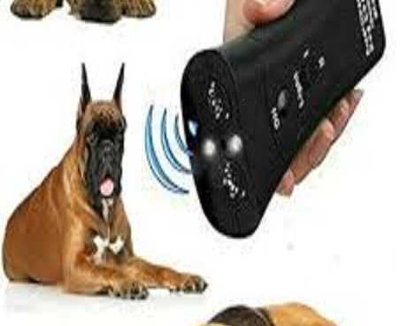 petgentle-device-benefits-calm-train-and