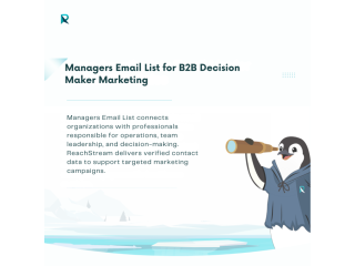 managers-email-list-for-b2b-decision-maker-marketing-small-0