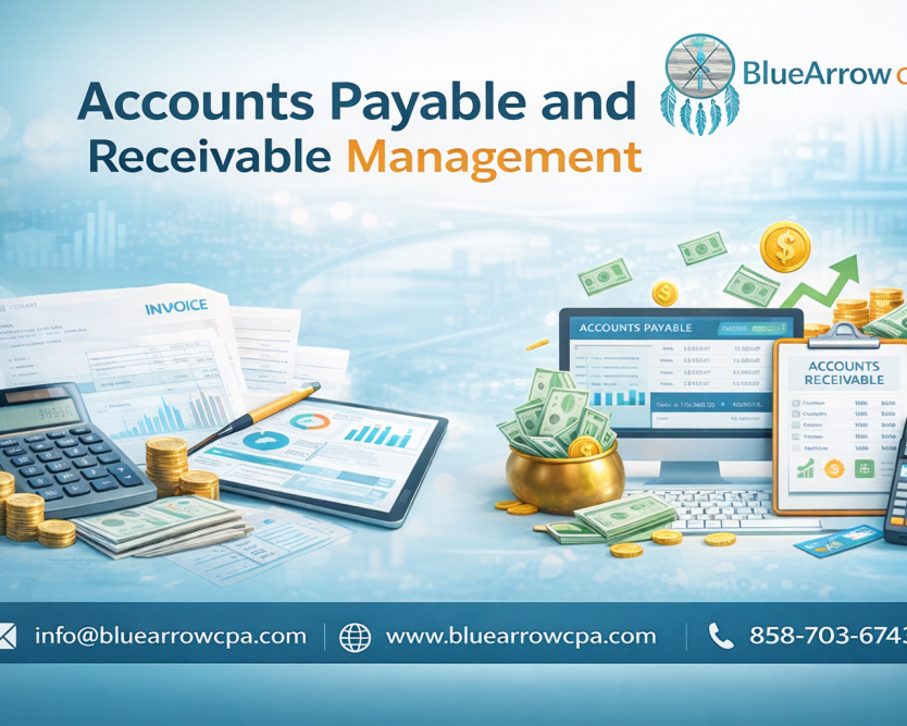 professional-managing-accounts-payable-and-receivable-support