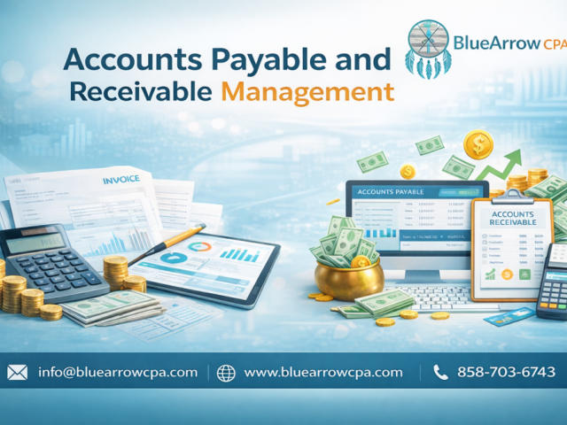 professional-managing-accounts-payable-and-receivable-support