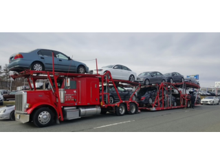 car-hauling-services-by-eta-transportation-you-can-small-0
