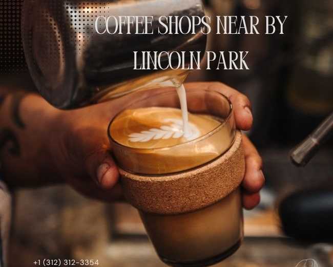 topest-coffee-spots-in-lincoln-park-il