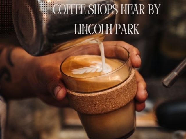 topest-coffee-spots-in-lincoln-park-il