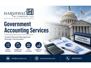 specialized-government-accounting-services-for-compliance-small-0