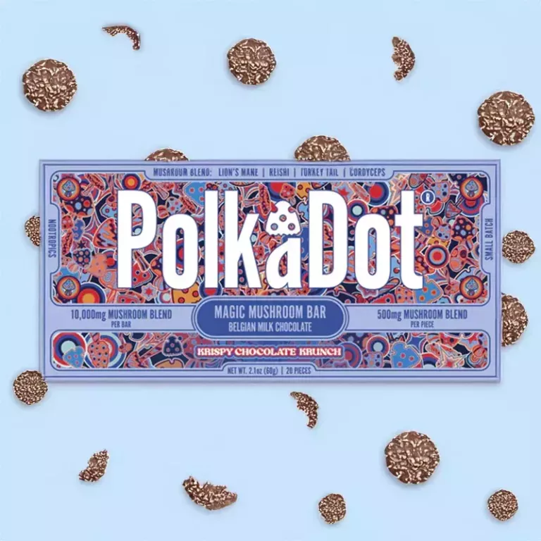 polka-dot-mushroom-big-0