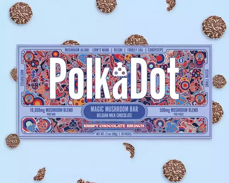 polka-dot-mushroom