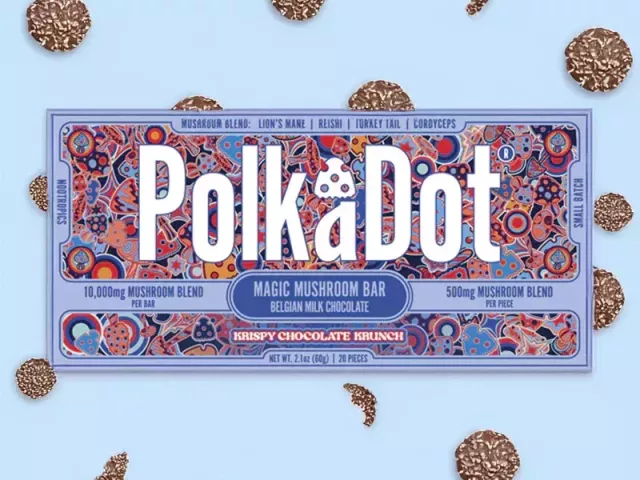 polka-dot-mushroom