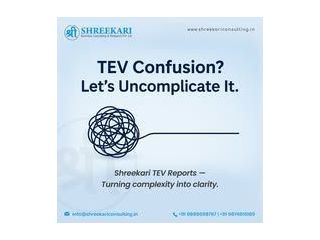 shreekari-consulting-leading-experts-in-tev-study-services-small-0