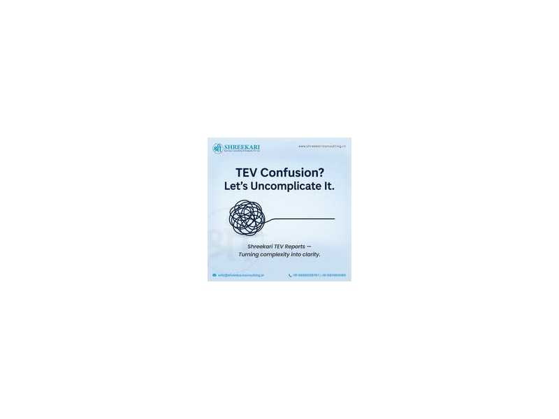shreekari-consulting-leading-experts-in-tev-study-services-small-0
