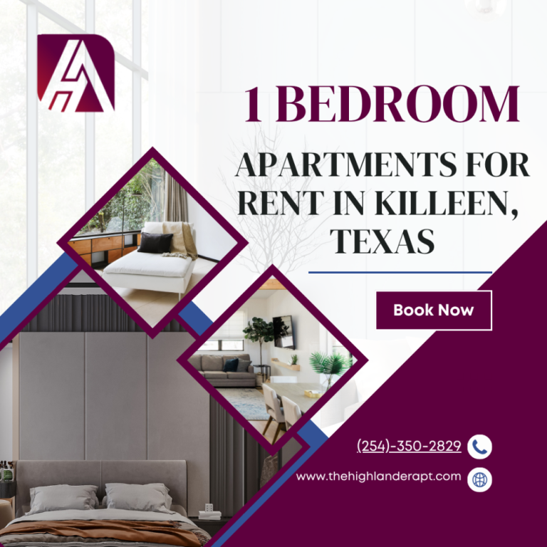 modern-1-bedroom-flats-for-rent-in-killeen-big-0