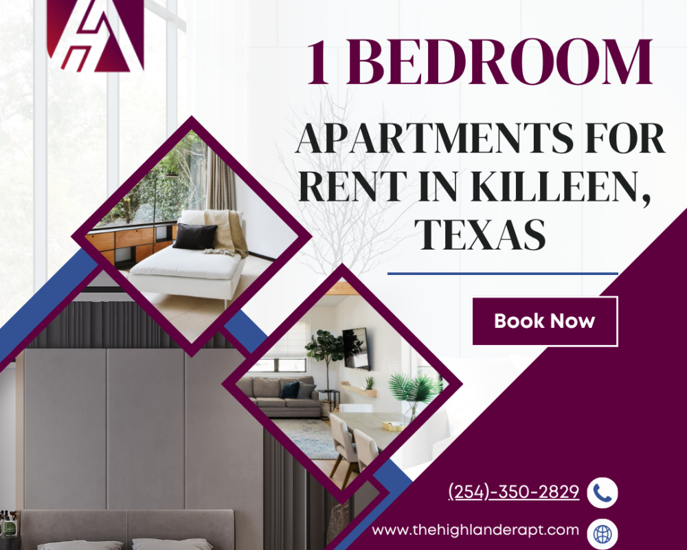 modern-1-bedroom-flats-for-rent-in-killeen