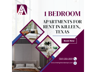 modern-1-bedroom-flats-for-rent-in-killeen-small-0
