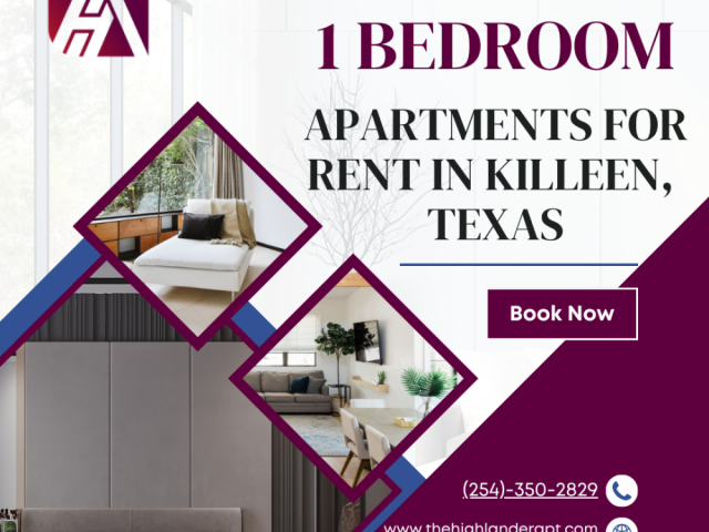 modern-1-bedroom-flats-for-rent-in-killeen