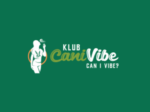 premium-herbal-buds-for-elevated-new-york-delivery-experiences