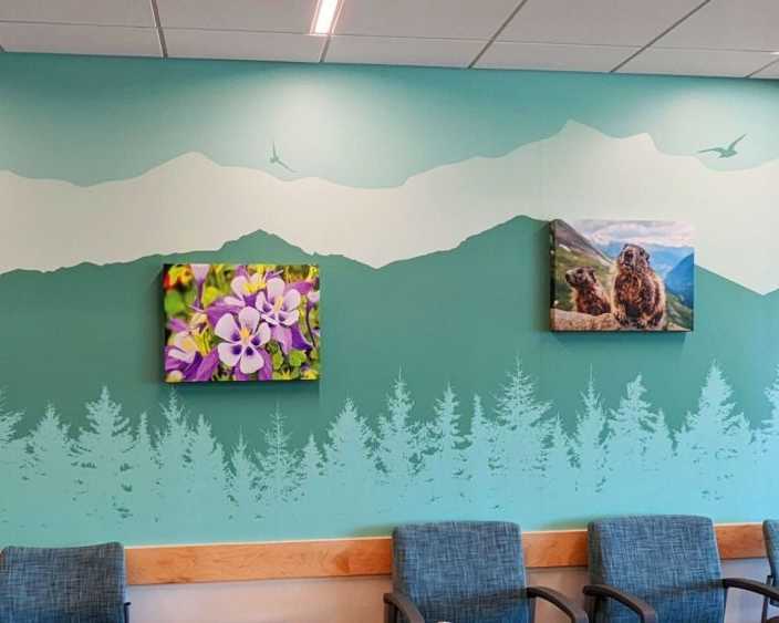premium-wall-murals-in-arvada