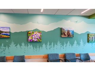 premium-wall-murals-in-arvada-small-0