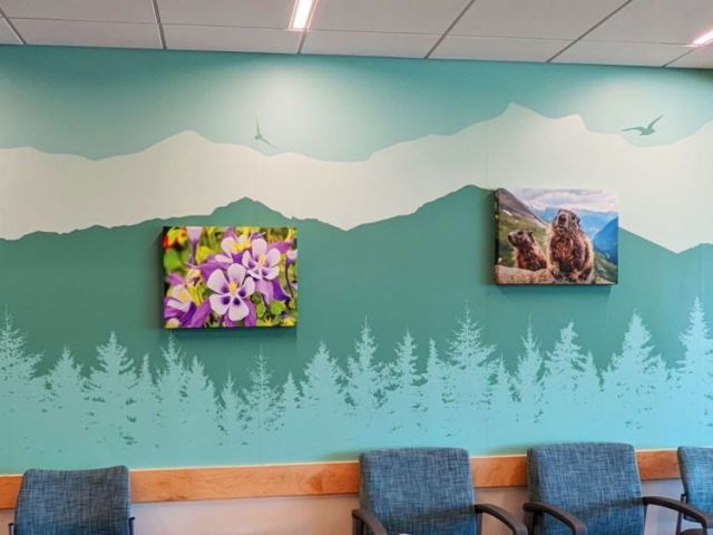 premium-wall-murals-in-arvada
