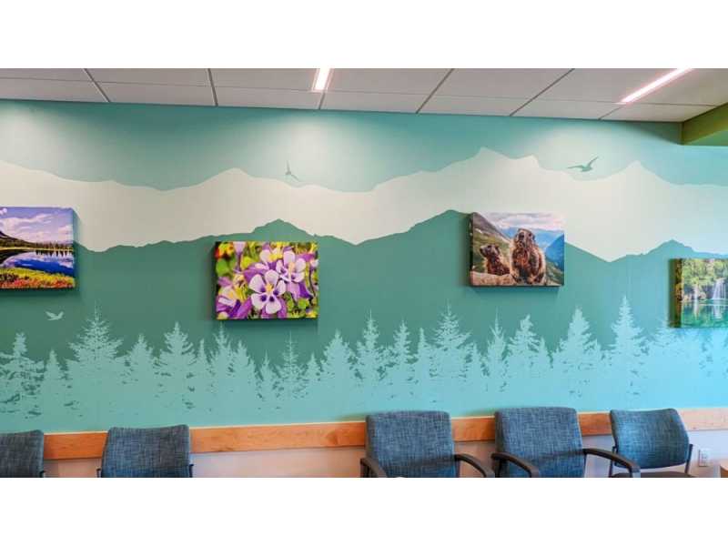 premium-wall-murals-in-arvada-small-0