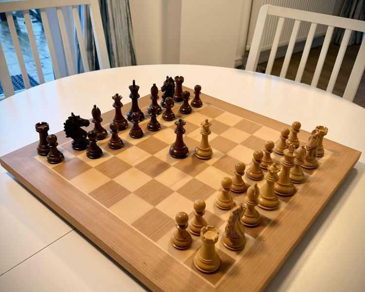buy-best-electronic-chess-set-for-smart-play-chessnut