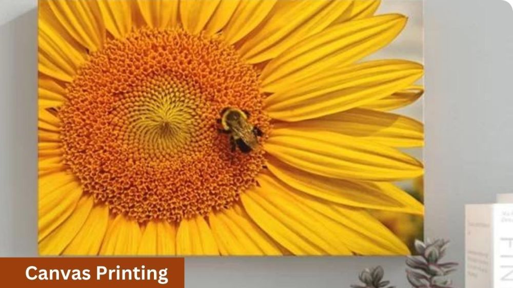 custom-canvas-prints-print-expert-oprint-big-0