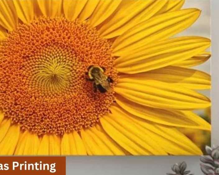 custom-canvas-prints-print-expert-oprint