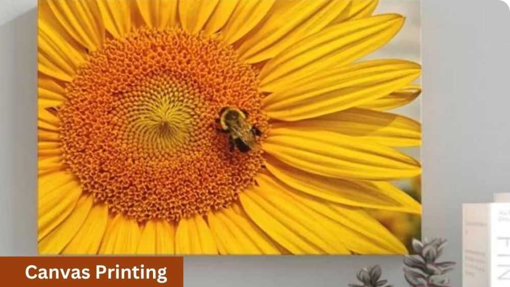 custom-canvas-prints-print-expert-oprint-big-0