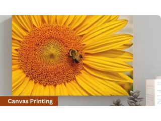 custom-canvas-prints-print-expert-oprint-small-0