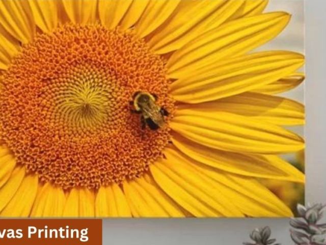 custom-canvas-prints-print-expert-oprint
