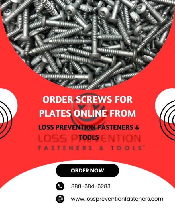 order-screws-for-plates-online-from-loss-prevention-fasteners-big-0