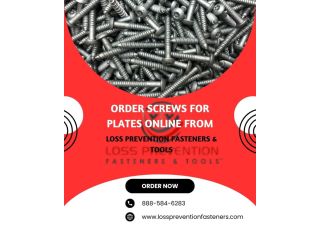 order-screws-for-plates-online-from-loss-prevention-fasteners-small-0