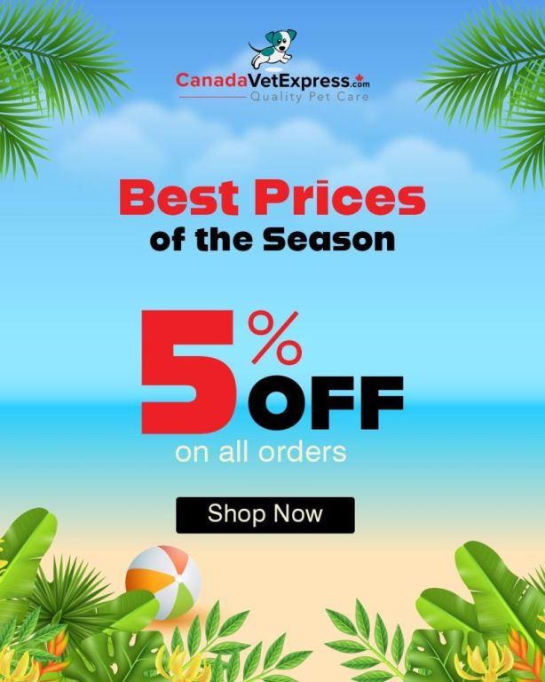 summer-season-live-best-price-5-off-sitewide-big-0