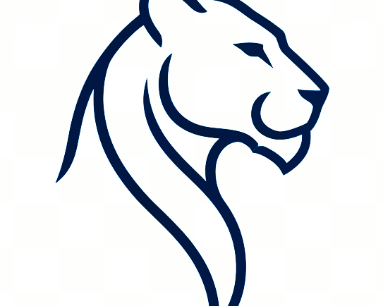 senior-care-consulting