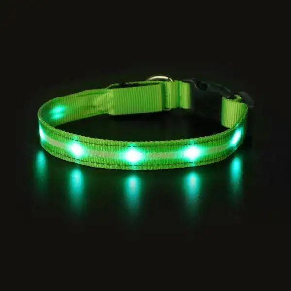 find-the-best-leather-dog-collars-online-big-0