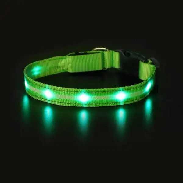 find-the-best-leather-dog-collars-online-big-0