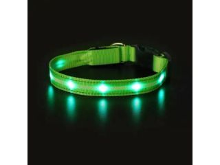 find-the-best-leather-dog-collars-online-small-0