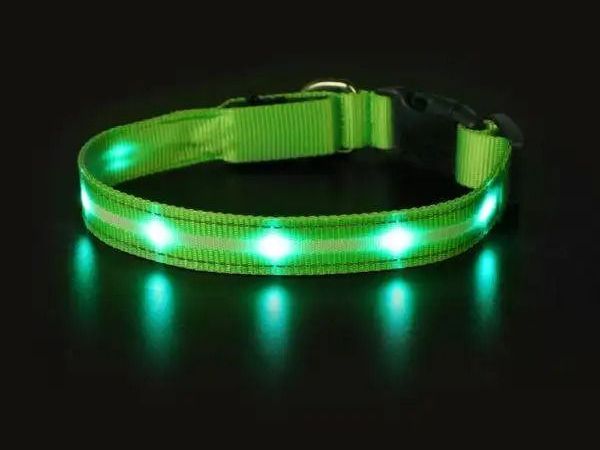 find-the-best-leather-dog-collars-online