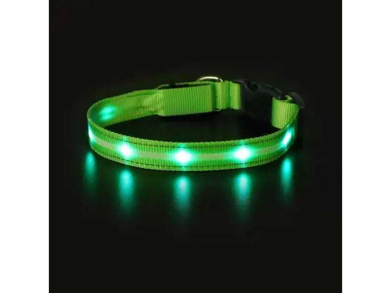 find-the-best-leather-dog-collars-online-small-0