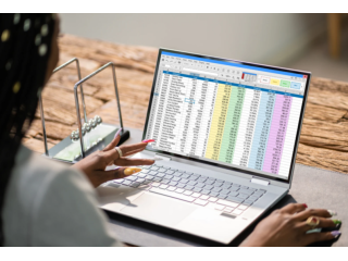 secure-web-based-spreadsheet-that-eliminates-hr-headaches-small-0