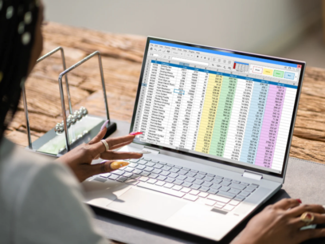secure-web-based-spreadsheet-that-eliminates-hr-headaches