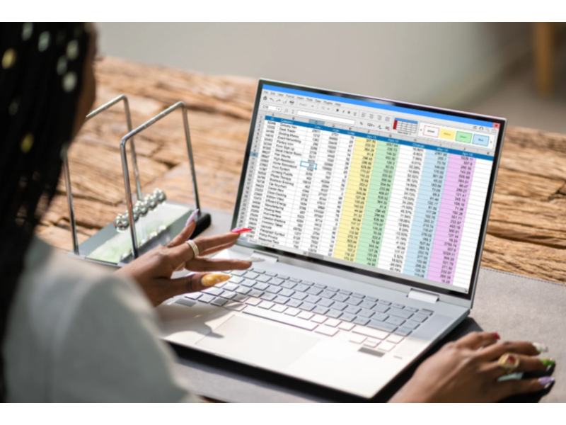 secure-web-based-spreadsheet-that-eliminates-hr-headaches-small-0