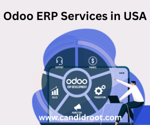 best-odoo-erp-services-in-usa-big-0