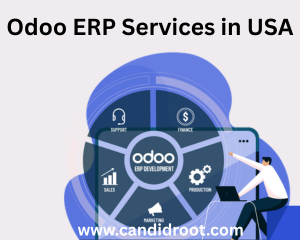 best-odoo-erp-services-in-usa
