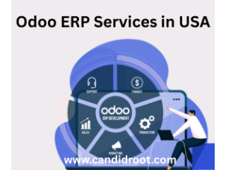 best-odoo-erp-services-in-usa-small-0