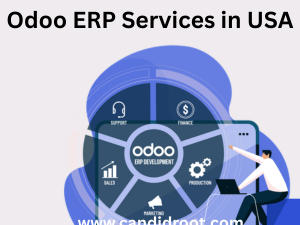 best-odoo-erp-services-in-usa